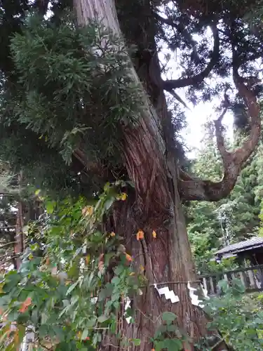 御座石神社(秋田県)