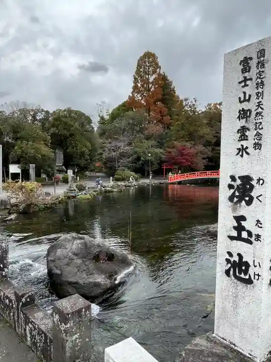 富士山本宮浅間大社(静岡県)