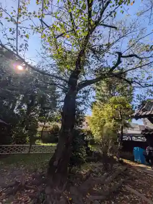 龍興山臨江寺(東京都)