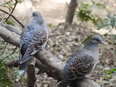 八千戈神社(静岡県)
