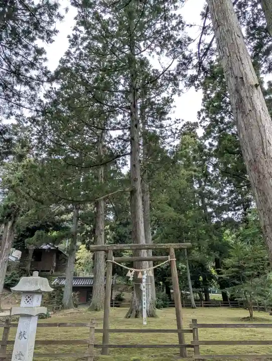 気多神社の{uncategorized: "未分類", other: "その他", undefined: "問題あり", building: "その他建物", grave: "お墓", sacred_gate: "鳥居", guardian: "狛犬", statue: "像", buddha: "仏像", history: "歴史", nature: "自然", garden: "庭園", animal: "動物", pagoda: "塔", temizu: "手水舎", mountain_gate: "山門・神門", sanctuary: "本殿・本堂", subordinate: "末社・摂社", art: "芸術", scenery: "景色", jizo: "地蔵", ema: "絵馬", goshuin: "御朱印", omikuji: "おみくじ", items: "授与品その他", amulet: "お守り", goshuincho: "御朱印帳", eats: "食事", festival: "お祭り", votive_dance: "神楽", shichigosan: "七五三参", wedding: "結婚式", experience: "体験その他", initially: "初詣", around: "周辺", anti_infection: "感染症対策"}