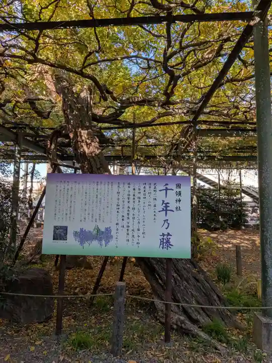 國領神社(東京都)