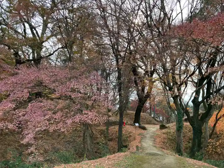 武田神社(山梨県)