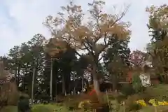 阿久津「田村神社」（郡山市阿久津町）旧社名：伊豆箱根三嶋三社の景色