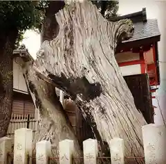 姫嶋神社の建物その他