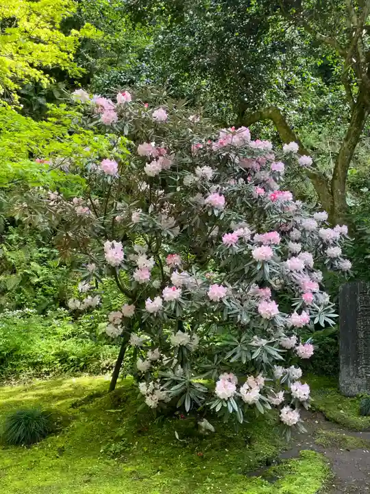 円通院(宮城県)