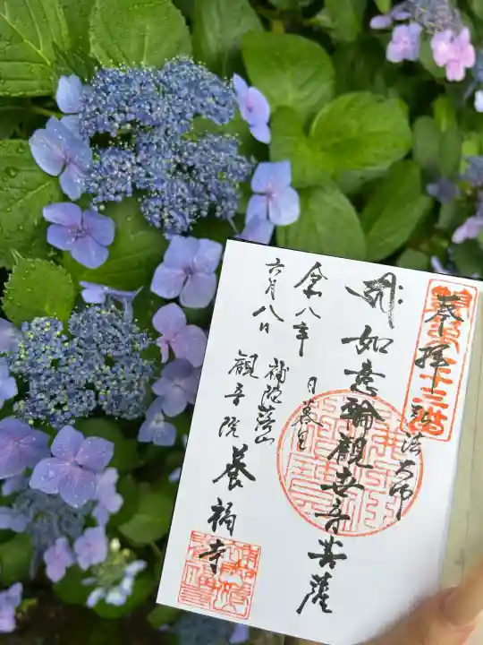 養福寺の御朱印