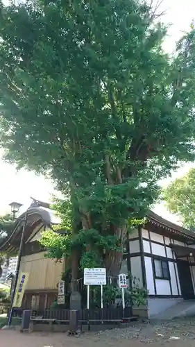 登渡神社(千葉県)