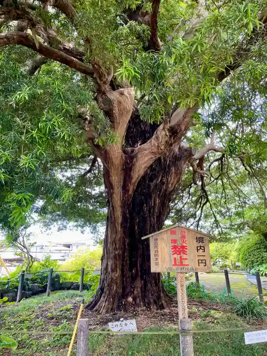 安養院 (田代寺)(神奈川県)