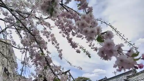 石像寺（釘抜地蔵）の自然