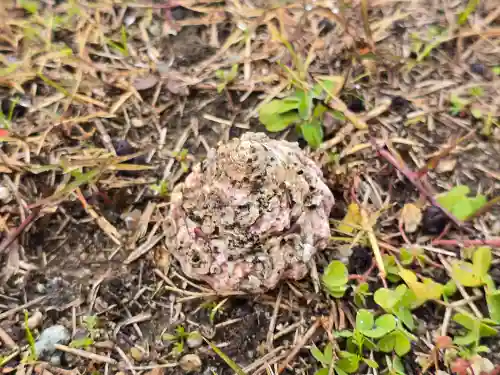 水分神社（広瀬神社境外摂社）(奈良県)