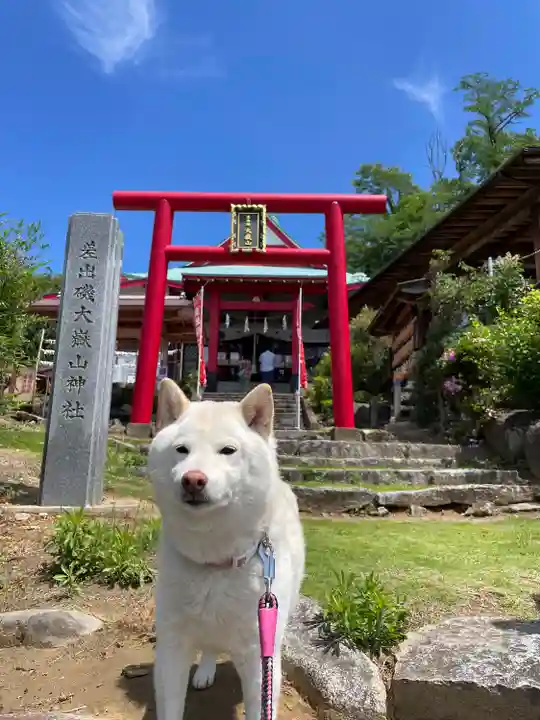 差出磯大嶽山神社 仕事と健康と厄よけの神さま(山梨県)