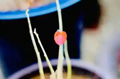 浄土寺(兵庫県)