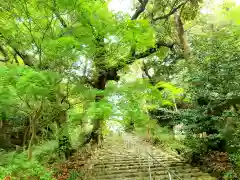 龍尾神社の建物その他