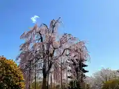 東寺（教王護国寺）(京都府)