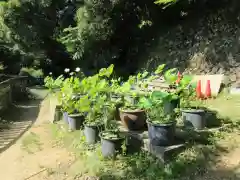 施福寺(大阪府)