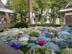 嵐山瀧神社の手水