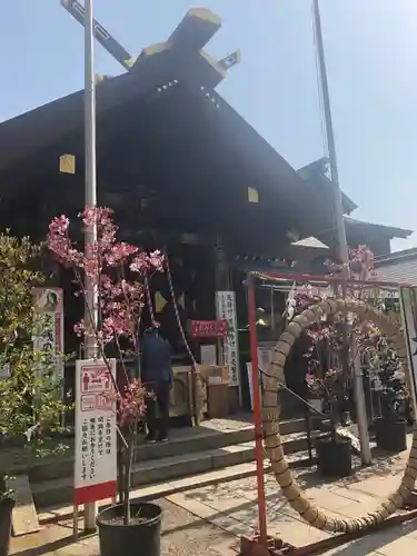波除神社（波除稲荷神社）の本殿・本堂