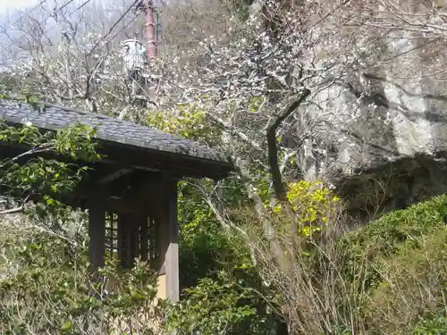 海蔵寺の庭園