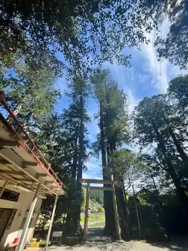 御杖神社の{uncategorized: "未分類", other: "その他", undefined: "問題あり", building: "その他建物", grave: "お墓", sacred_gate: "鳥居", guardian: "狛犬", statue: "像", buddha: "仏像", history: "歴史", nature: "自然", garden: "庭園", animal: "動物", pagoda: "塔", temizu: "手水舎", mountain_gate: "山門・神門", sanctuary: "本殿・本堂", subordinate: "末社・摂社", art: "芸術", scenery: "景色", jizo: "地蔵", ema: "絵馬", goshuin: "御朱印", omikuji: "おみくじ", items: "授与品その他", amulet: "お守り", goshuincho: "御朱印帳", eats: "食事", festival: "お祭り", votive_dance: "神楽", shichigosan: "七五三参", wedding: "結婚式", experience: "体験その他", initially: "初詣", around: "周辺", anti_infection: "感染症対策"}