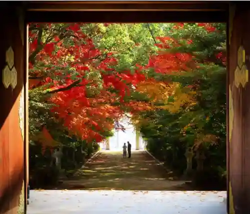 速谷神社の建物その他