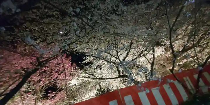 平野神社(京都府)