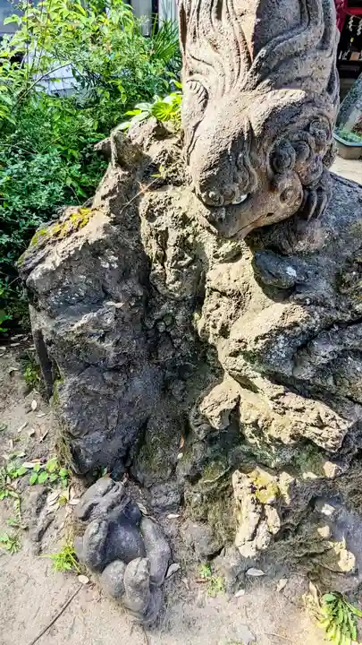 今井神社の狛犬