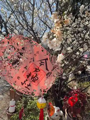 今戸神社の御朱印 2026年03月