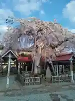 洞林寺(宮城県)