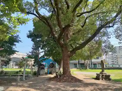 竹渕神社(大阪府)