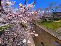 黒龍大権現(黒龍神社)の周辺