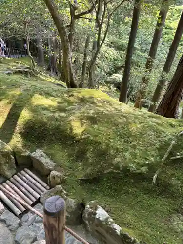 慈照寺（慈照禅寺・銀閣寺）(京都府)