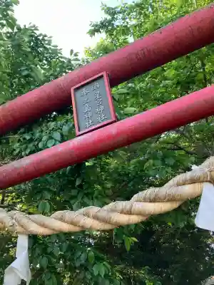 西大島星宮神社の{uncategorized: "未分類", other: "その他", undefined: "問題あり", building: "その他建物", grave: "お墓", sacred_gate: "鳥居", guardian: "狛犬", statue: "像", buddha: "仏像", history: "歴史", nature: "自然", garden: "庭園", animal: "動物", pagoda: "塔", temizu: "手水舎", mountain_gate: "山門・神門", sanctuary: "本殿・本堂", subordinate: "末社・摂社", art: "芸術", scenery: "景色", jizo: "地蔵", ema: "絵馬", goshuin: "御朱印", omikuji: "おみくじ", items: "授与品その他", amulet: "お守り", goshuincho: "御朱印帳", eats: "食事", festival: "お祭り", votive_dance: "神楽", shichigosan: "七五三参", wedding: "結婚式", experience: "体験その他", initially: "初詣", around: "周辺", anti_infection: "感染症対策"}