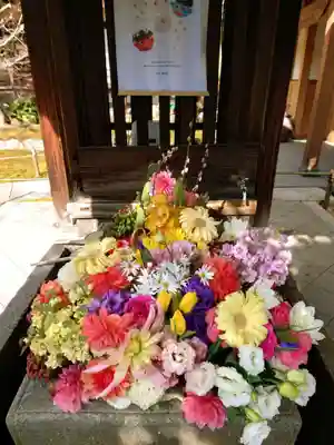 勝林寺(京都府)