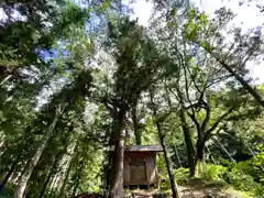 大山祇神社の本殿