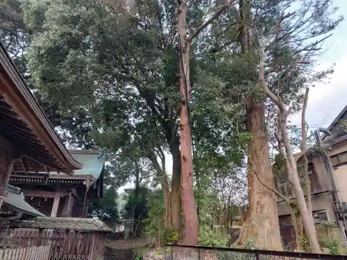 王子神社の{uncategorized: "未分類", other: "その他", undefined: "問題あり", building: "その他建物", grave: "お墓", sacred_gate: "鳥居", guardian: "狛犬", statue: "像", buddha: "仏像", history: "歴史", nature: "自然", garden: "庭園", animal: "動物", pagoda: "塔", temizu: "手水舎", mountain_gate: "山門・神門", sanctuary: "本殿・本堂", subordinate: "末社・摂社", art: "芸術", scenery: "景色", jizo: "地蔵", ema: "絵馬", goshuin: "御朱印", omikuji: "おみくじ", items: "授与品その他", amulet: "お守り", goshuincho: "御朱印帳", eats: "食事", festival: "お祭り", votive_dance: "神楽", shichigosan: "七五三参", wedding: "結婚式", experience: "体験その他", initially: "初詣", around: "周辺", anti_infection: "感染症対策"}