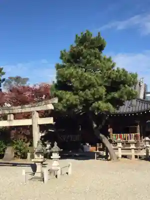 八雲神社(三重県)