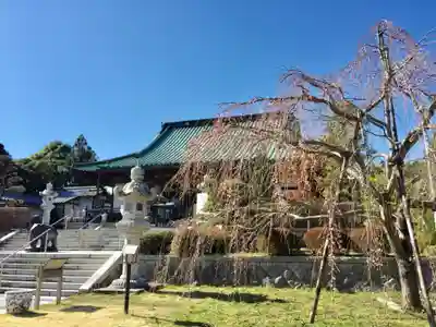 大聖寺（土浦大師不動尊）の本殿・本堂