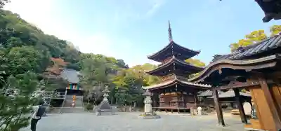 石手寺の{uncategorized: "未分類", other: "その他", undefined: "問題あり", building: "その他建物", grave: "お墓", sacred_gate: "鳥居", guardian: "狛犬", statue: "像", buddha: "仏像", history: "歴史", nature: "自然", garden: "庭園", animal: "動物", pagoda: "塔", temizu: "手水舎", mountain_gate: "山門・神門", sanctuary: "本殿・本堂", subordinate: "末社・摂社", art: "芸術", scenery: "景色", jizo: "地蔵", ema: "絵馬", goshuin: "御朱印", omikuji: "おみくじ", items: "授与品その他", amulet: "お守り", goshuincho: "御朱印帳", eats: "食事", festival: "お祭り", votive_dance: "神楽", shichigosan: "七五三参", wedding: "結婚式", experience: "体験その他", initially: "初詣", around: "周辺", anti_infection: "感染症対策"}