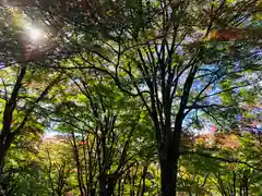 土津神社｜こどもと出世の神さまの自然