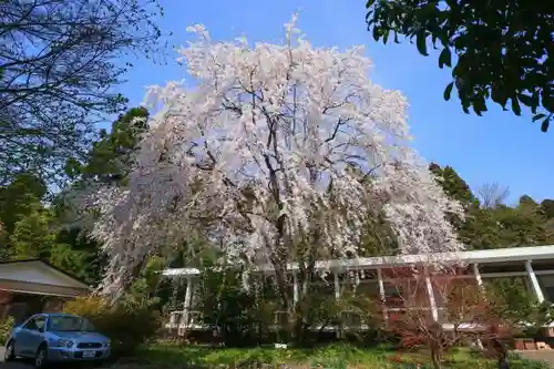 青葉神社の庭園