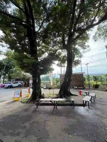大宮・大原神社(千葉県)