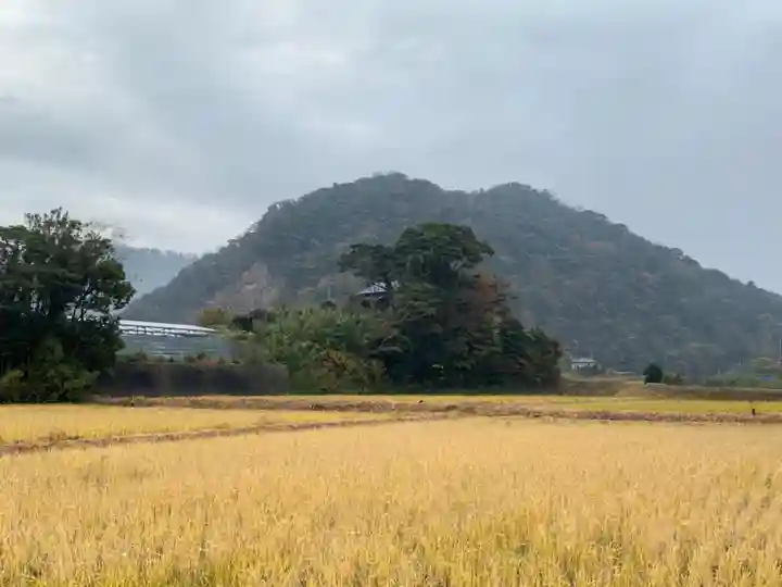 貴船神社の自然