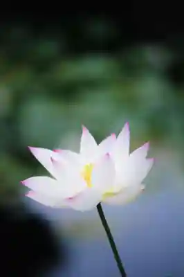 浄土寺(兵庫県)