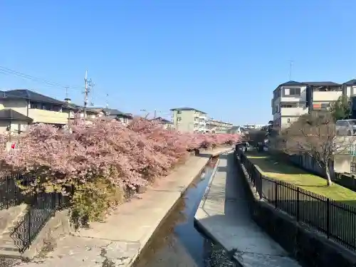 稲葉神社の{uncategorized: "未分類", other: "その他", undefined: "問題あり", building: "その他建物", grave: "お墓", sacred_gate: "鳥居", guardian: "狛犬", statue: "像", buddha: "仏像", history: "歴史", nature: "自然", garden: "庭園", animal: "動物", pagoda: "塔", temizu: "手水舎", mountain_gate: "山門・神門", sanctuary: "本殿・本堂", subordinate: "末社・摂社", art: "芸術", scenery: "景色", jizo: "地蔵", ema: "絵馬", goshuin: "御朱印", omikuji: "おみくじ", items: "授与品その他", amulet: "お守り", goshuincho: "御朱印帳", eats: "食事", festival: "お祭り", votive_dance: "神楽", shichigosan: "七五三参", wedding: "結婚式", experience: "体験その他", initially: "初詣", around: "周辺", anti_infection: "感染症対策"}