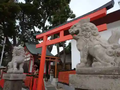 姫嶋神社の狛犬