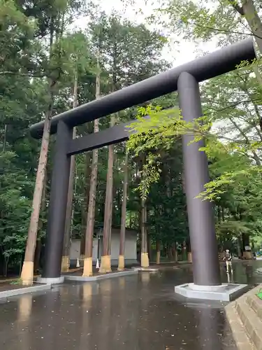 北海道神宮の鳥居