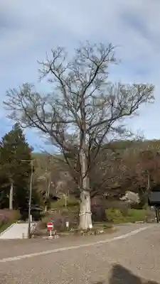 本別神社の自然
