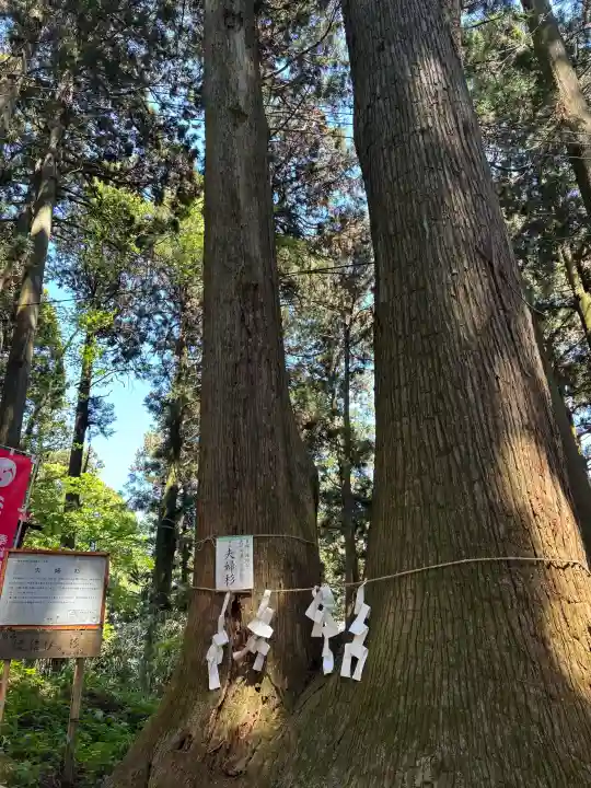 羽黒山神社の{uncategorized: "未分類", other: "その他", undefined: "問題あり", building: "その他建物", grave: "お墓", sacred_gate: "鳥居", guardian: "狛犬", statue: "像", buddha: "仏像", history: "歴史", nature: "自然", garden: "庭園", animal: "動物", pagoda: "塔", temizu: "手水舎", mountain_gate: "山門・神門", sanctuary: "本殿・本堂", subordinate: "末社・摂社", art: "芸術", scenery: "景色", jizo: "地蔵", ema: "絵馬", goshuin: "御朱印", omikuji: "おみくじ", items: "授与品その他", amulet: "お守り", goshuincho: "御朱印帳", eats: "食事", festival: "お祭り", votive_dance: "神楽", shichigosan: "七五三参", wedding: "結婚式", experience: "体験その他", initially: "初詣", around: "周辺", anti_infection: "感染症対策"}