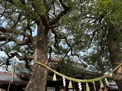 明治神宮(東京都)